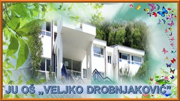 JU OSNOVNA ŠKOLA VELJKO DROBNJAKOVIĆ (Risan), KOTOR